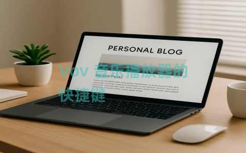 Vov 音乐播放器的快捷键